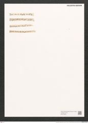 Campylodiscus hibernicus Ehr. (de-Toni-Nr.: Genus 57, Species 2504) Zeichnungen Sammlung Grunow (NHMW-BOT-W0373254)